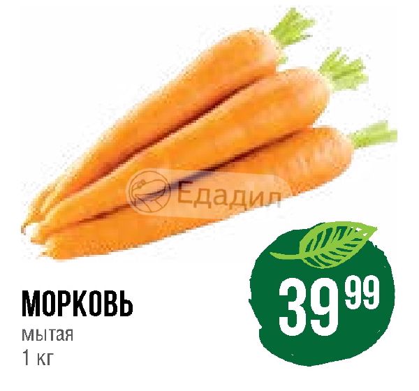 Семья морковок. Корни , похожие на морковь 7 букв сканворд.