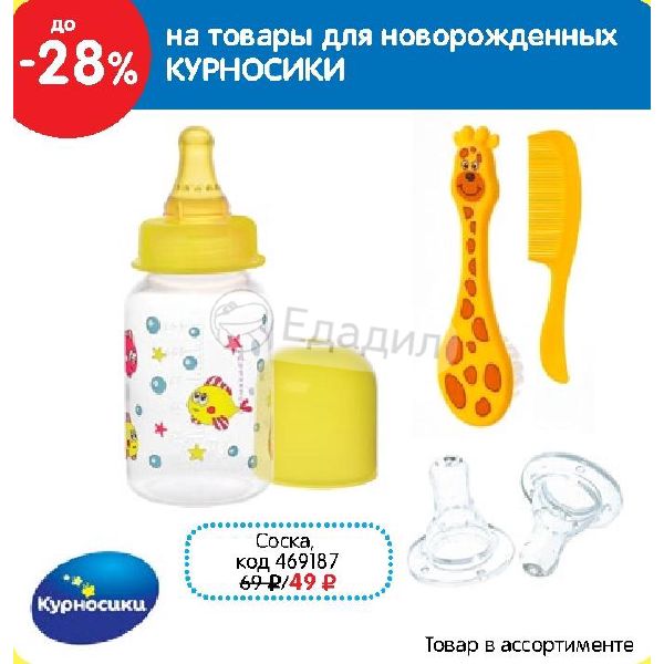 Курносики Бай Интернет Магазин