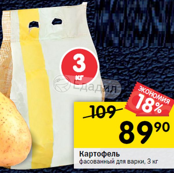 В Магазине Картофель Расфасовали В 24