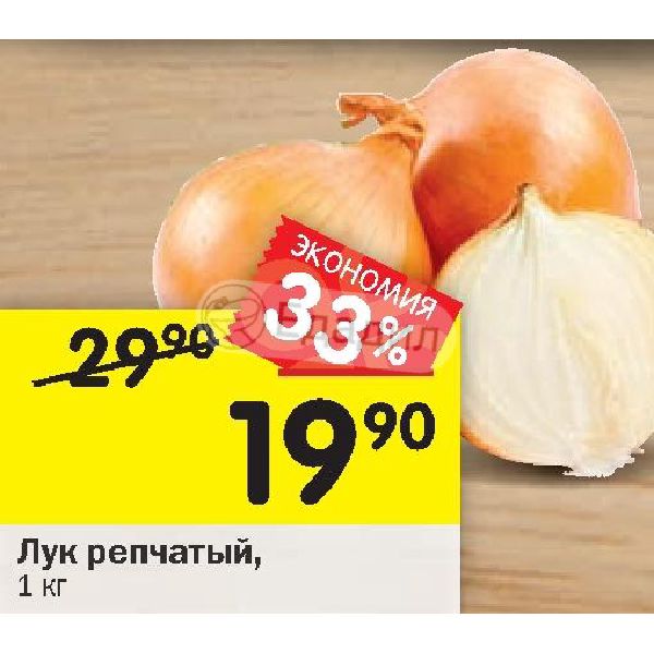 акции лук. акции лук. что такое верный лук. акции лук. акции лук.