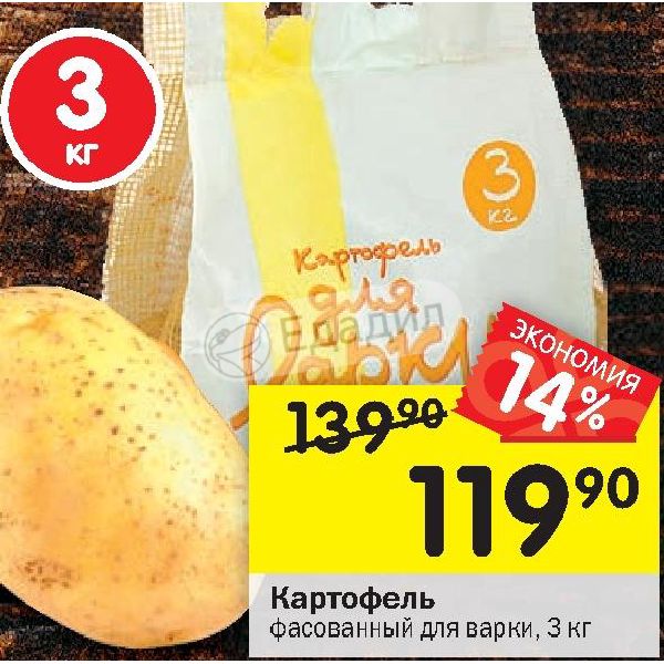 В Магазине Картофель Расфасовали В 24