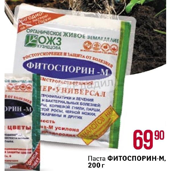 Фортуна Интернет Магазин Сасово