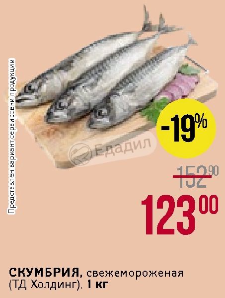 Купить Скумбрию Свежемороженую В Спб Розницу