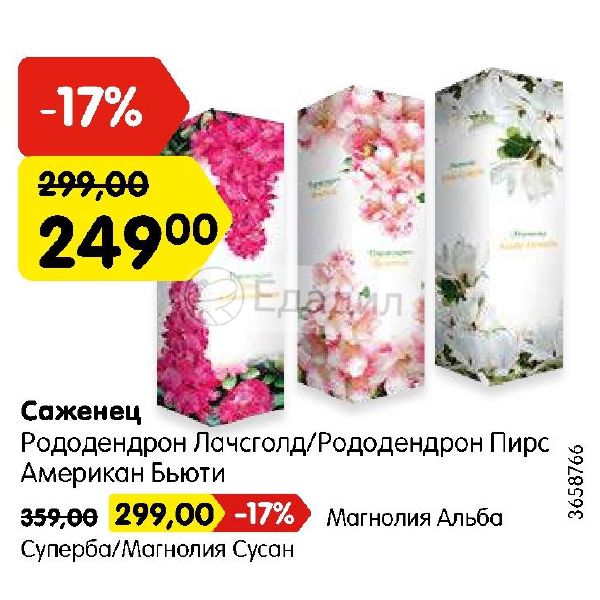 Американ Бьюти Клаб Интернет Магазин