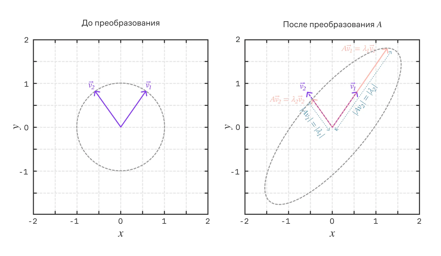 Нормированные собственные векторы $v_1$ и $v_2$