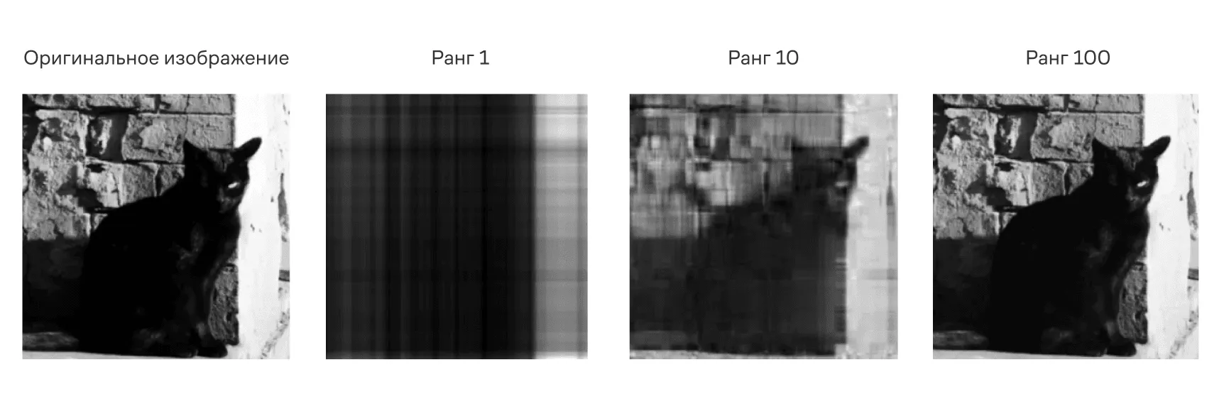 Влияние ранга сингулярного разложения на качество восстановления изображения