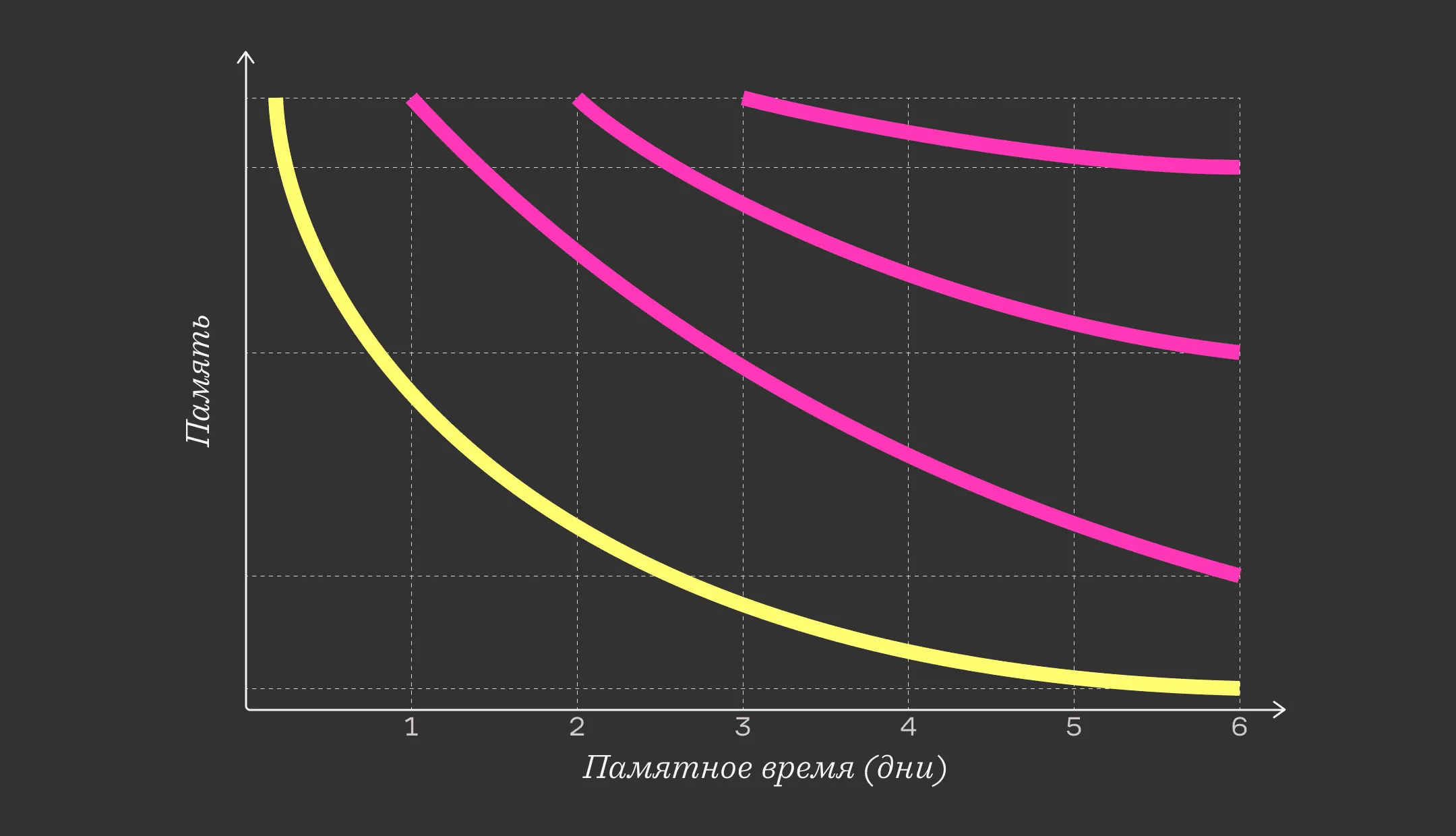 4_интервальное повторение.webp