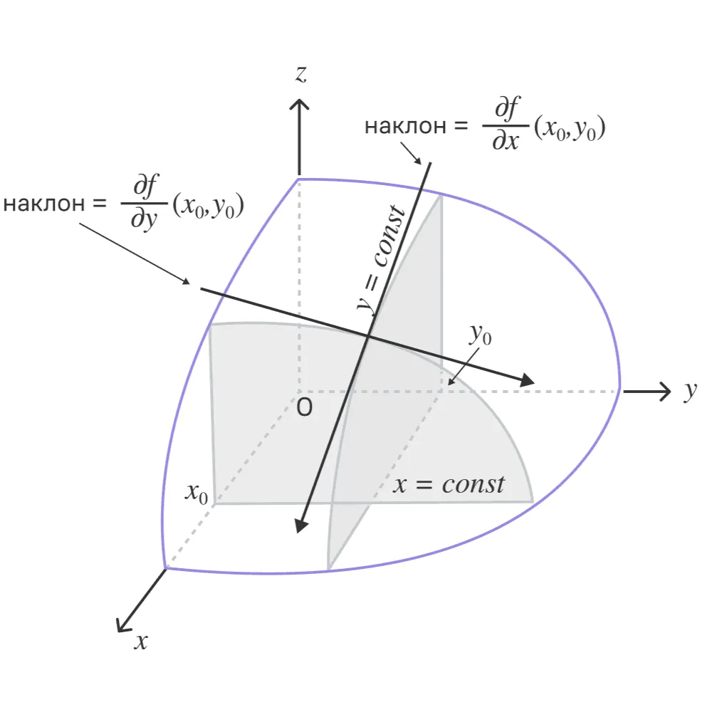 Сечение поверхности