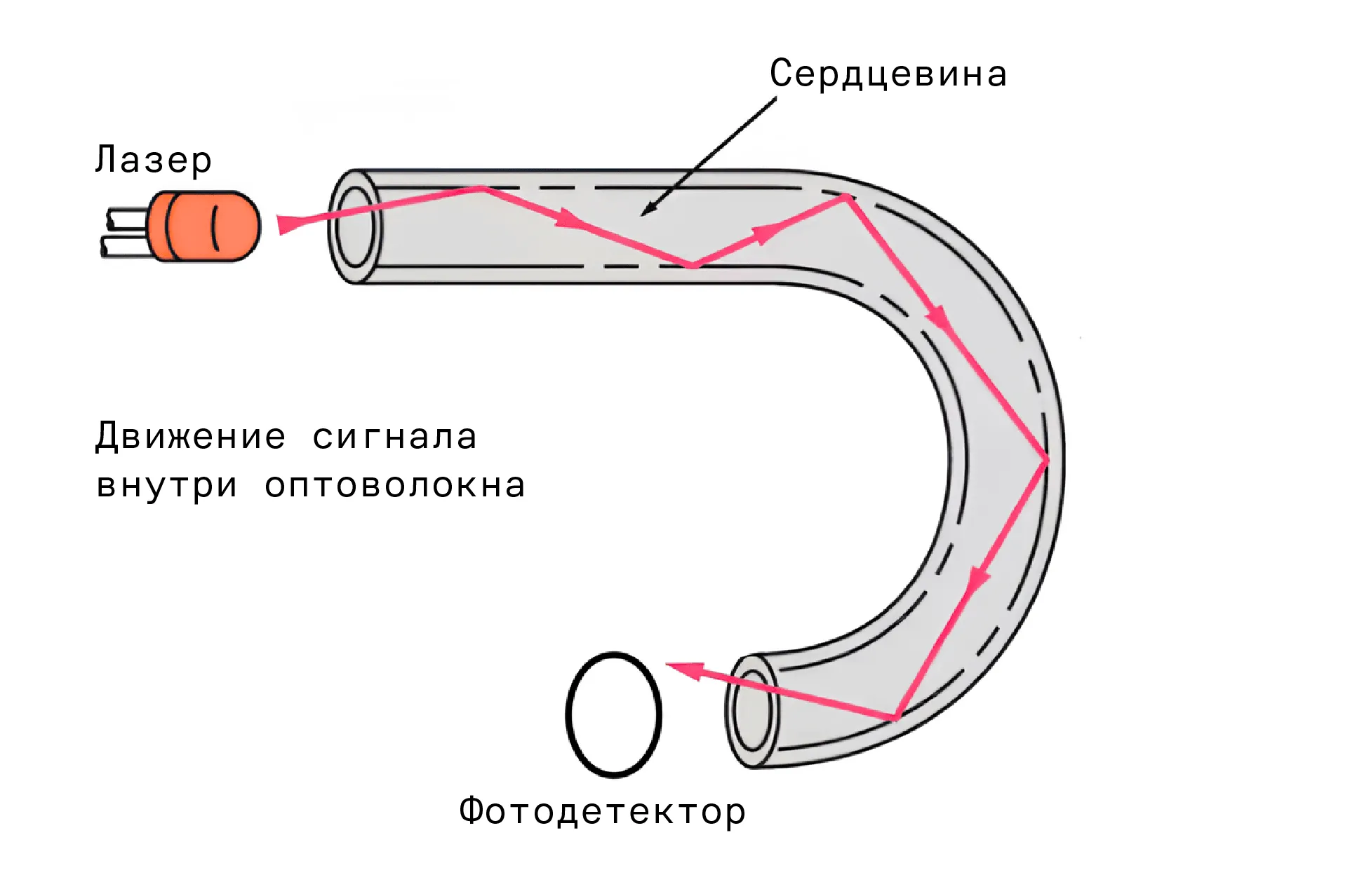 оптоволокно.webp