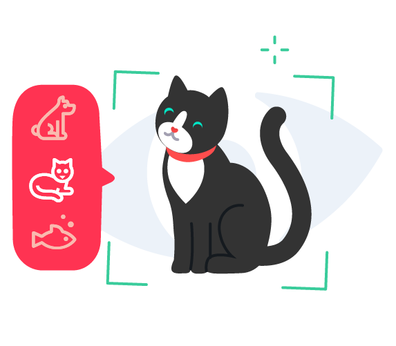 Классификация